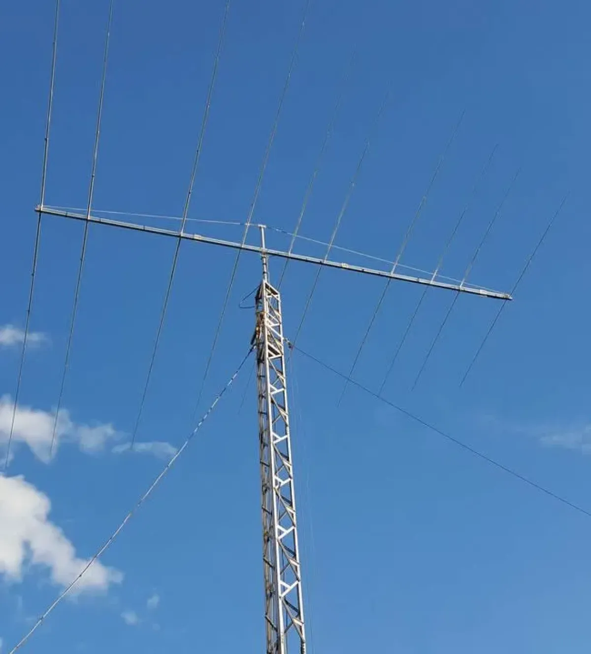 BOL 1